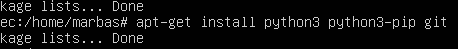 Terminal output of installing python3, python3-pip, and git