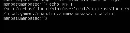 Terminal output of echo $PATH showing the new path included